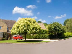 Finished estate road beside a green and mature tree